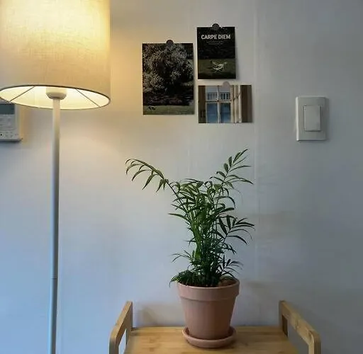 Apartment Station Namsan View Meong *